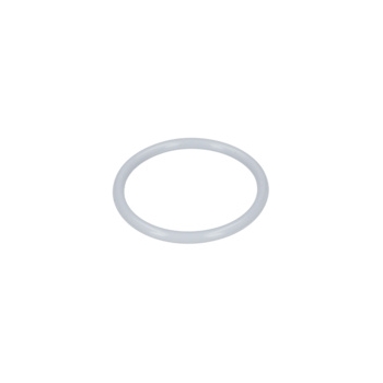 Bosch Pierścień Samouszczeln. Numer katalogowy 160021007U