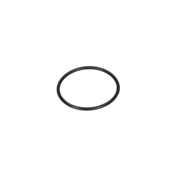 Bosch Pierścień Samouszczeln. Numer katalogowy 1610210084