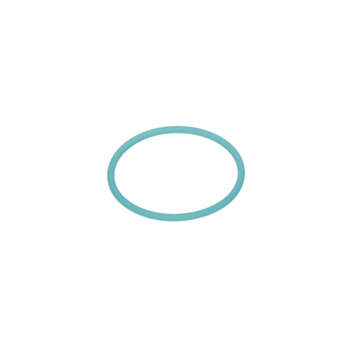 Bosch Pierścień Samouszczeln. Numer katalogowy 1610210103