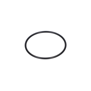 Bosch Pierścień Samouszczeln. Numer katalogowy 1610210134