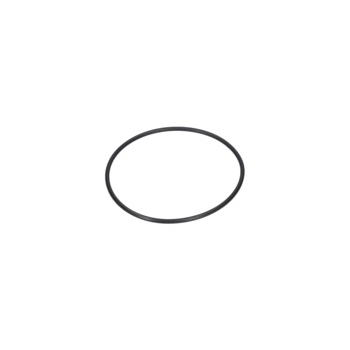 Bosch Pierścień Samouszczeln. Numer katalogowy 1610210147