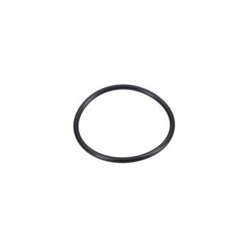 Bosch Pierścień Samouszczeln. Numer katalogowy 1610210202