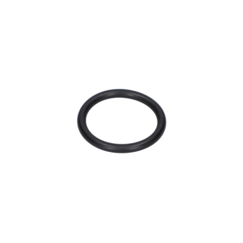 Bosch Pierścień Samouszczeln. Numer katalogowy 1610210213