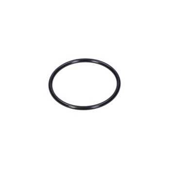 Bosch Pierścień Samouszczeln. Numer katalogowy 1610210224