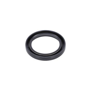 Bosch PIERŚCIEN USZCZELNIAJĄCY Numer katalogowy 1610290051