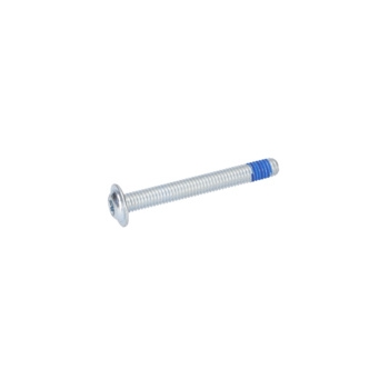 Bosch Wkręt Soczewkowy Torx Numer katalogowy 1613490011