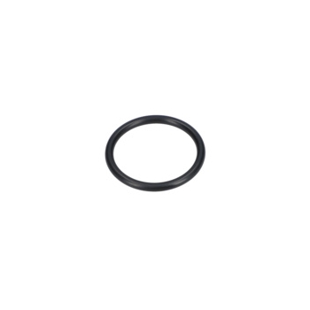 Bosch Pierścień Samouszczeln. Numer katalogowy 1900210129