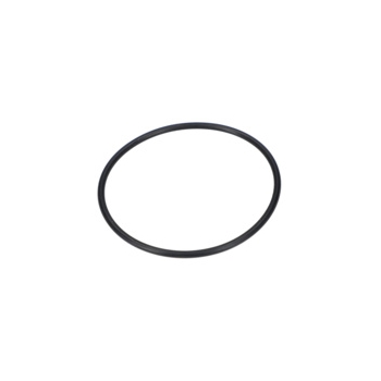 Bosch O-ring 70x3-NBR70 Numer katalogowy 1900210160