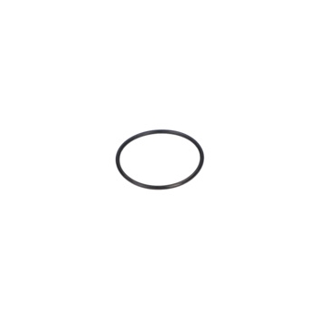 Bosch O-ring Numer katalogowy 3600210012