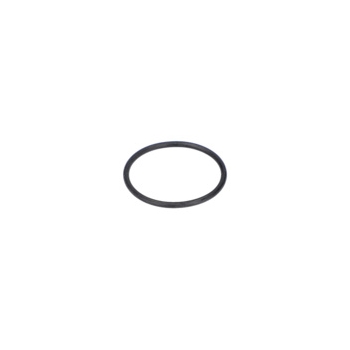 Bosch O-ring Numer katalogowy 3600210016