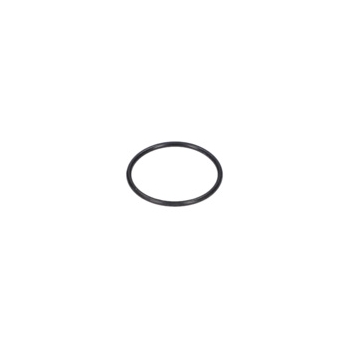 Bosch O-ring Numer katalogowy 3600210104