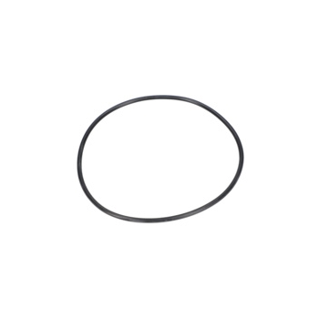Bosch O-ring Numer katalogowy 3609202936