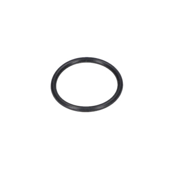 Bosch O-ring Numer katalogowy 3609202B71