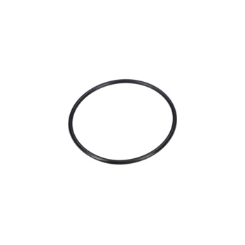 Bosch O-ring Numer katalogowy F016F04063