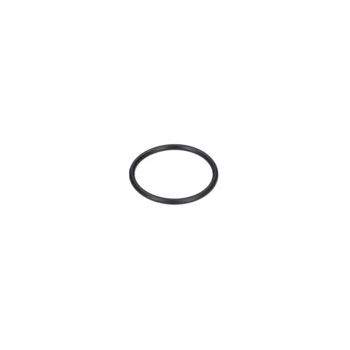 Bosch O-ring Numer katalogowy F016L72131